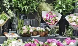 51爆料吃瓜网 花店,花店背后的惊人真相大揭秘！